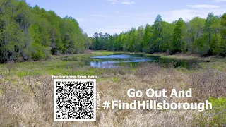 #FindHillsborough - Lithia Area