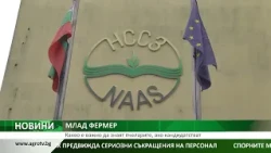 МЛАД ФЕРМЕР: Какво е важно да знаят пчеларите, ако кандидатстват