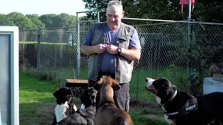 Rhenen dog training school looking for new location