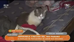 Paraná River flood leaves homes and islands underwater in Ayolas