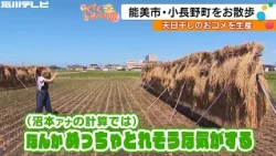 Konagamachi, Nomi City... A farmer producing sun-dried rice