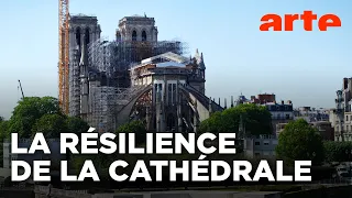 Notre-Dame de Paris, le chantier du siècle (2/3) | L'harmonie des forces | ARTE
