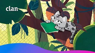 The panther has escaped! 🐆🚁 | Audrey's Shelter