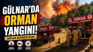 Forest fire in Gulnar... @Kanal33mersin