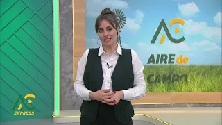 AIRE DE CAMPO EXPRESS 08/19