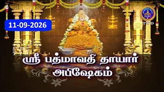 Sri Padmavathi Ammavari || Sukravara Abhishekam || SVBC2 Tamil || 11-09-2026 || SVBC TTD