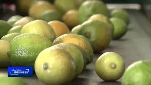 Signs of economic recovery emerge in South Africa