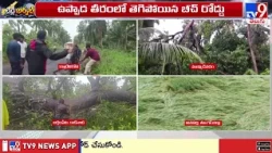 Cyclone Arnab Damages Banana & Paddy Crops | నేలకొరిగిన అరటి తోటలు, వరి చేలు | Konaseema - TV9