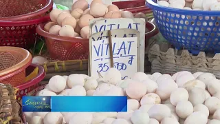 Tay Ninh proactively protects poultry flocks