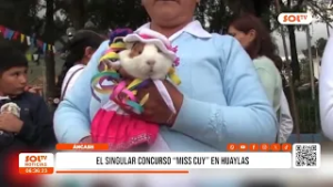 Áncash: realizan singular concurso "Miss Cuy" en Huaylas