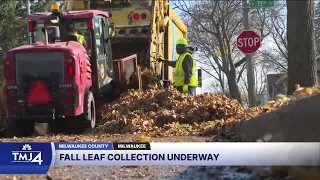 City fall leaf collection is underway