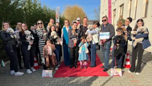 Parada animăluțelor la Red Link Wedding