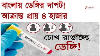 দাপট দেখাচ্ছে Dengue, আক্রান্ত প্রায় ৪ হাজার! তালিকায় সবার ওপর মুর্শিদাবাদ, দ্বিতীয় কলকাতা