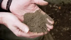Au mois de février, comment réactiver le sol de votre serre ?
