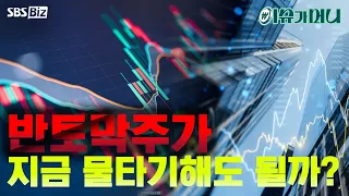 [Issue Money] Stock Price Halved, Is Now the Time to Average Down?