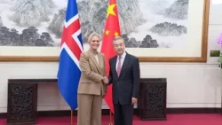 Chinese Foreign Minister holds talks with his Icelandic counterpart