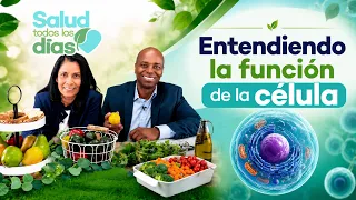 SALUD TODOS LOS DÍAS | Entendiendo la función de la célula. Dr. Yvon Fils - Aime.