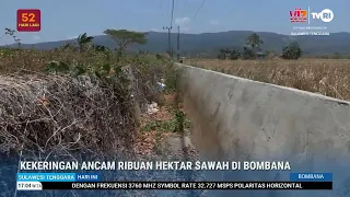Drought Threatens Thousands of Hectares of Rice Fields in Bombana
