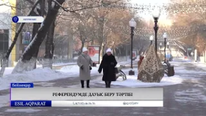 Референдумде дауыс беру тәртібі