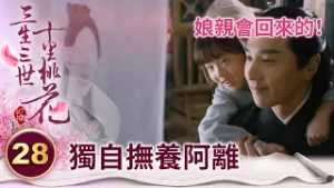 最出名的單親爸爸！灰姑娘走後 太子獨自撫養孩子長大【三生三世十里桃花】精華 EP28-3 楊冪、趙又廷、迪麗熱巴、高偉光、張智堯 @ctvdrama_classic