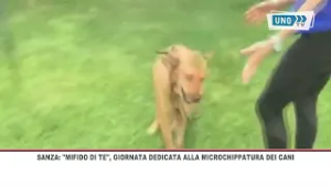 SRV SANZA MICROCHIPPATURA DEI CANI