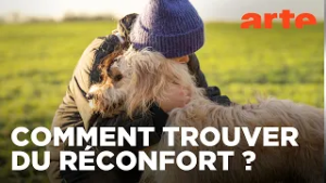 Le réconfort : quel soutien quand tout va mal ? | Twist | ARTE