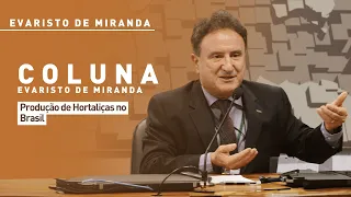 Evaristo de Miranda: Vegetable production in Brazil
