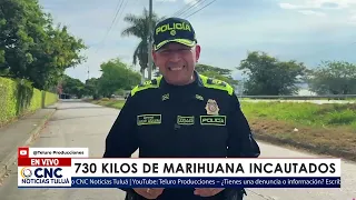 MARIJUANA SEIZURE IN PALMIRA