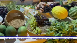THE FOOD PATHS OF LONG LIFE, SICIAN MUNICIPALITIES PROTAGONISTS BETWEEN AUGUST AND OCTOBER