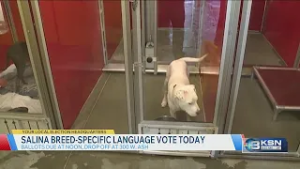 Ballots for Salina's pit bull ban repeal election due today