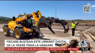 Lemn de foc, la un click distanță: Romsilva a lansat magazinul online