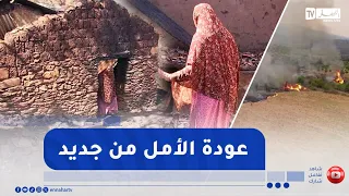Jijel: Life Returns to Fire-Damaged Villages Following Government Efforts