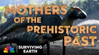 Ferocious Mothers Protect Their Young | Surviving Earth | Docuseries | NBC