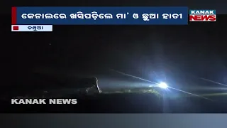 Keonjhar Elephant Rescue | Calf Falls Into Canal Near Champua