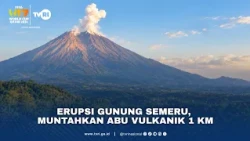 Erupsi Gunung Semeru, Muntahkan Abu Vulkanik 1 KM