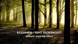 Egzamen - ispit svjesnosti (4)