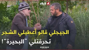 #الجيجلي راح عند #فؤاد صاحب مبادرة #خضرا_بإذن_الله وقالو تحرقتلي البحيرة أعطيني شجر تاع الزيتون