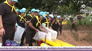 Maha Sarakham community rice planting in honor of the King | Isan Today July 29, 2026