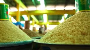 L'Égypte et Afreximbank bank signent un accord pour la création d'une banque africaine de l'or