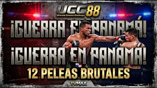 Everything Ready for UCC 88 in Panama! 🔥 12 MMA Fights, Championship Titles on the Line, and Inte...