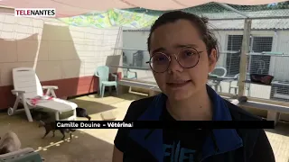 APRÈS LA CANICULE : LES REFUGES SATURÉS
