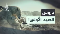 من رحم العواصف.. كيف تتعلّم صغار الحيوانات الاعتماد على نفسها؟