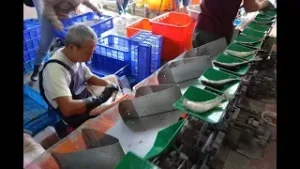 贏在地球村 Win The World—訪香魚生態享用美食 八甲魚場嚐鮮趣