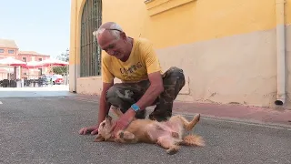 Julio lost everything in the fire, but managed to save his dog Lobito: "My soul has been crushed"