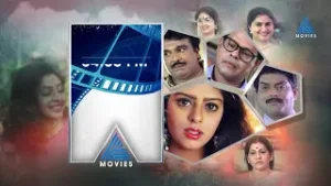 ഒരു സിനിമാനടിയുടെ സാന്നിധ്യം സൃഷ്‌ടിച്ച കോലാഹലങ്ങൾ അവതരിപ്പിച്ച  'ശ്രീകൃഷ്ണപുരത്തെ നക്ഷത്രത്തിളക്കം'