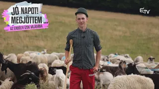 Jó napot! Megjöttem... Az esztenák világába látogat Badics Petra