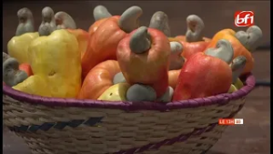 Campagne fruitière 2026 : le gouvernement fixe les prix des mangues et anacardes