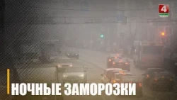 Ночные заморозки ожидаются на Гомельщине