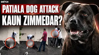 Pitbull Att@ck in Patiala: Kaun Zimmedaar? India Mein Dog Bite Cases Kyun Badh Rahe?