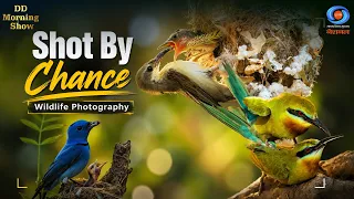 DD Morning Show | Shot By Chance | Wildlife Photography | DD National